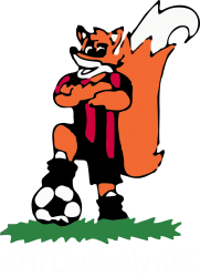 CPD Llanboidy AFC badge